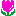 py py